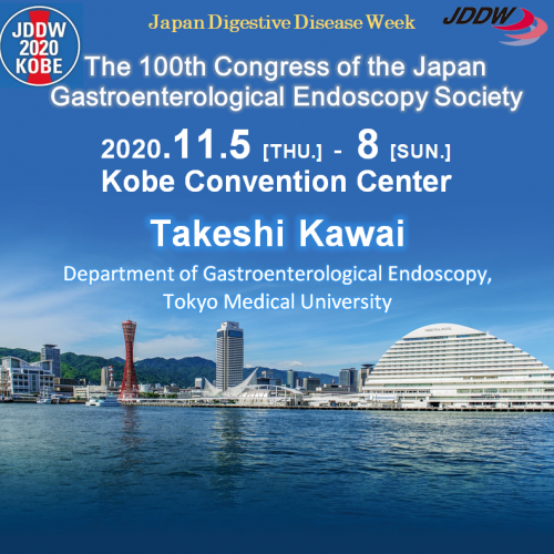 JGES Guidelines Japan Gastroenterological Endoscopy Soaciety