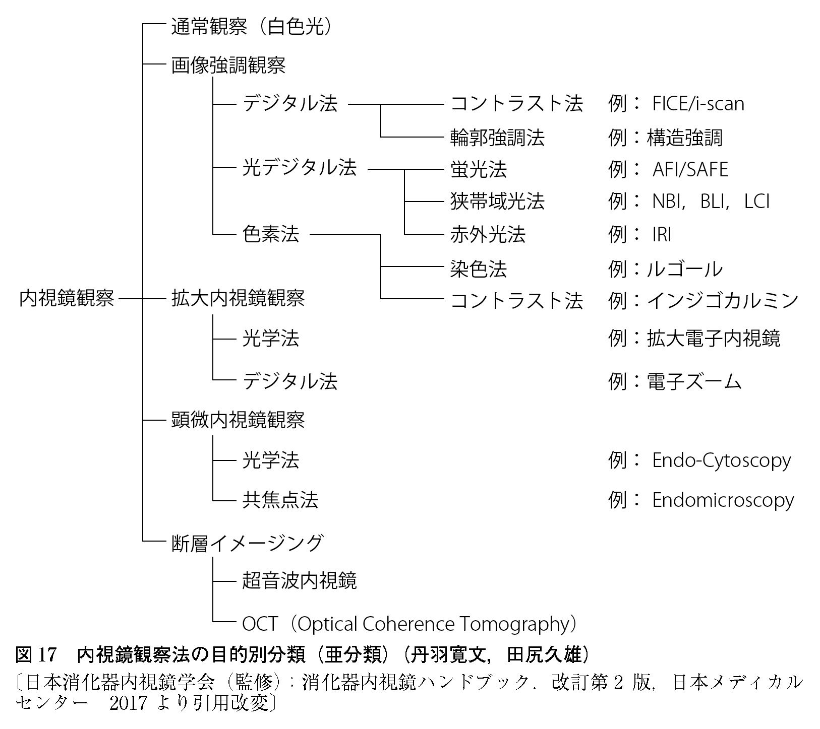 消化器内視鏡用語集 – 検索版 | 日本消化器内視鏡学会